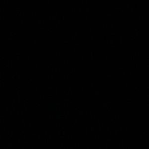 Meet your Posher, Aaliyah